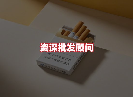 专业团队